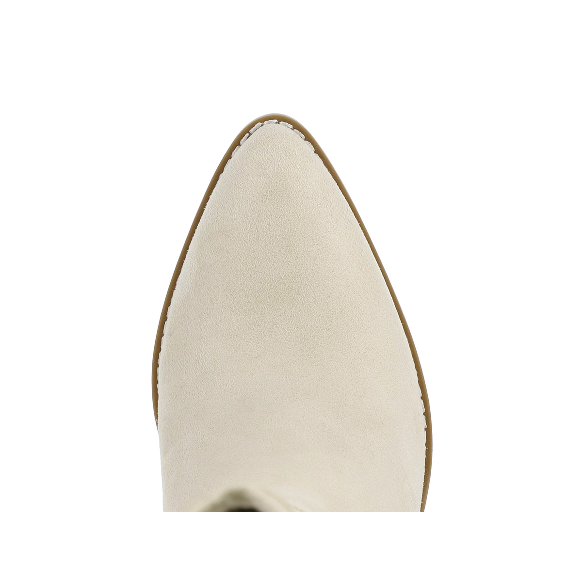 SEASHELL NOV