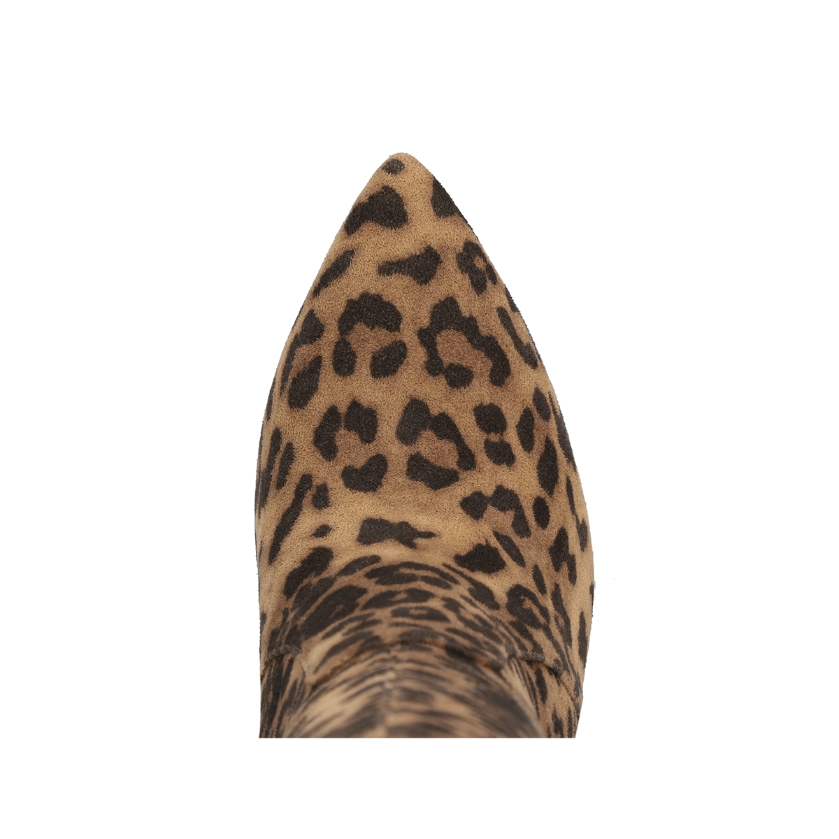 ARISA - LEOPARD – MIA Shoes