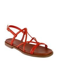 CORAL BURNIS