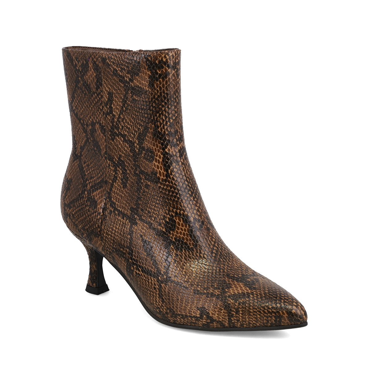 BROWN PYTHON