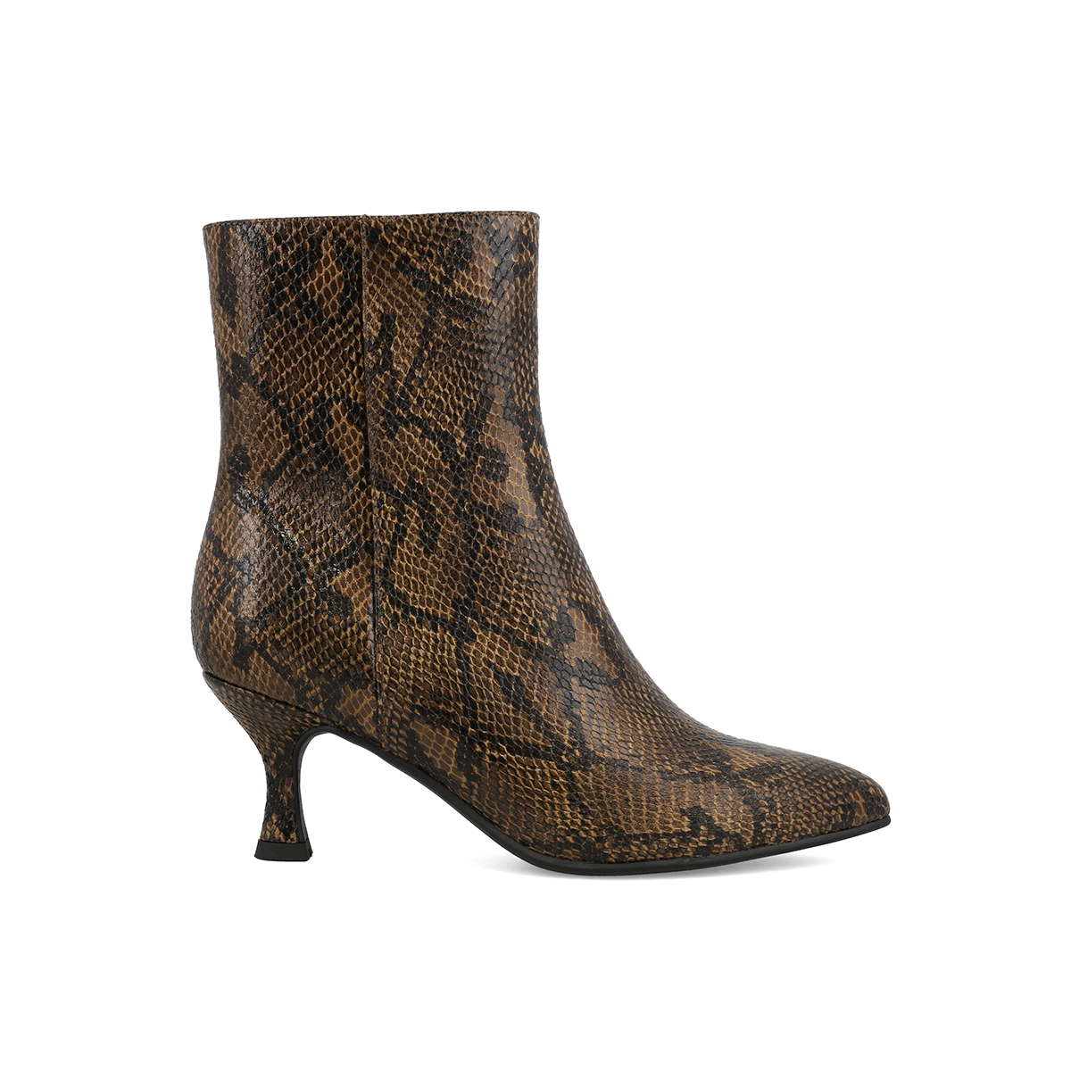 BROWN PYTHON