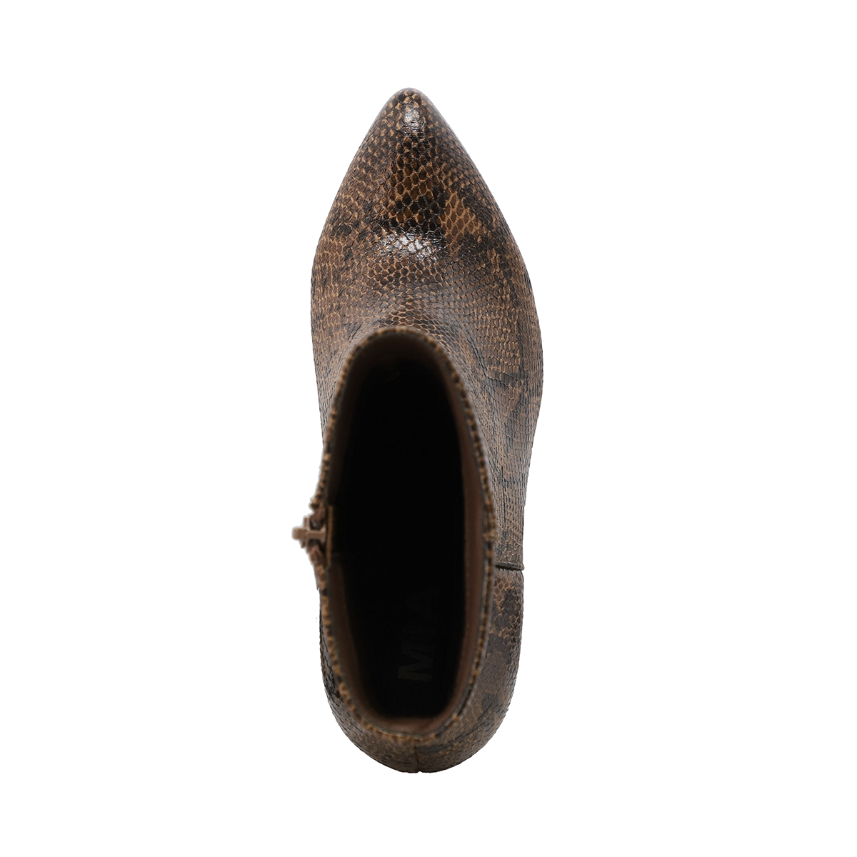 BROWN PYTHON