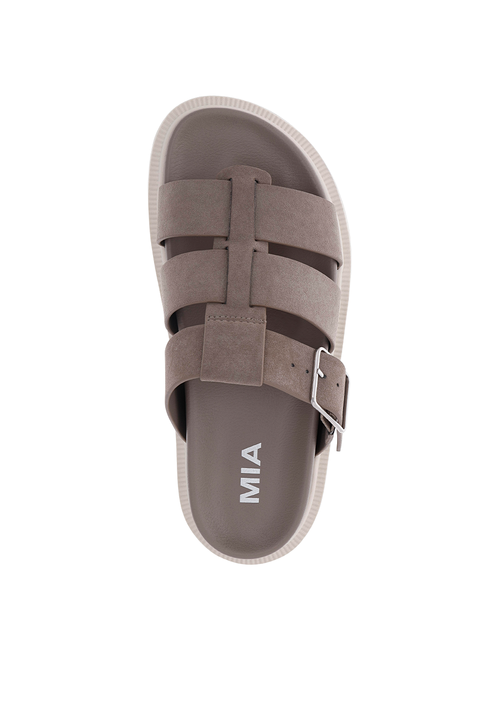 TAUPE BURNIS